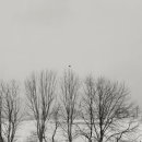 문화로시장 | 필립 퍼키스, 피드를 넘어 바라보는 법을 배우는 일— 짐 로시(Jim Roche)의 리뷰