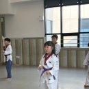 용인대박사청룡태권도 네이버블로그