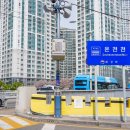 개화-꽃의 노래 | 부산 벚꽃 명소 개화시기 유채꽃 온천천 벚꽃 꽃구경