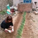 메종펜션 이미지