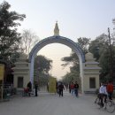 [네팔] 불교4대성지, 룸비니＜탄생지＞ 이미지