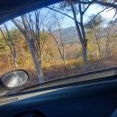 월광농원 이미지