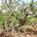 김주일농장 이미지