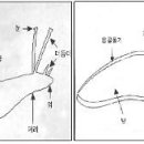 귀농영농 재배기술▒▒▒작물보호-농업해충-생태 및 방제(2) 이미지