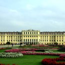 셀부루 네이버블로그