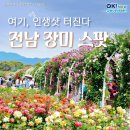 5월장미!전남장미스팟=곡성 기차마을 장미축제~순천 풍덕동 장미터널~함평 엑스포공원~ 광양 서천 장미공원~ 장성 평림댐 장미공원 이미지