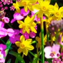 신명헬스케어 이미지