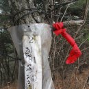 청룡사 등산로 이미지