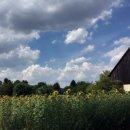 이승현농장 이미지