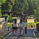 시연민박 이미지