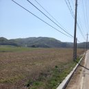 일죽공인중개사사무소 이미지