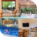 제주도 숙소 추천 제주도 가족 여행 독채 펜션 온수풀 수영장 감성 숙소 후기