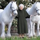 Queen celebrates 96th birthday in Sandringham 이미지