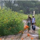 고흐와해바라기2 이미지