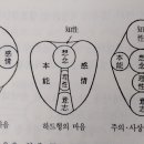 제5장 마음의 기능을 파악하는 방법 / 지성(知性) 이미지