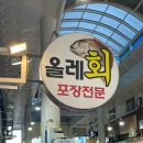 올레수산회센터 | 제주 서귀포 올레시장 횟집 추천 올레수산회센터 -내돈내산 포장후기