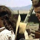 기풍농장 이미지