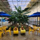 영인면 토정로 이미지