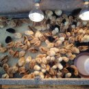 서파가든 이미지