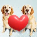 노산동물병원 이미지