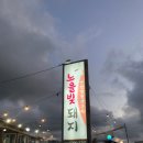 노을빛돼지 이미지