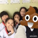 국가대표 타이거 태권스쿨 이미지