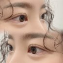 인계동 다니래쉬 방문 후기 – 임산부 속눈썹 펌 솔직하게 공유해요