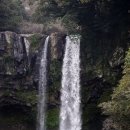 천지연폭포 이미지