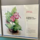 한국압화박물관 | 구례 1박2일 엄마랑 여행코스 | 화엄사 압화박물관 구례식물표본전시관 세밀화 전시