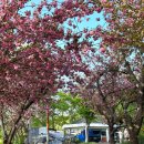 화원동산 동물원 이미지