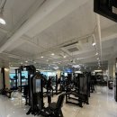 밀라노짐PT | [정자역 헬스장] 밀라노짐 정자점 PT 2주차 후기