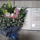 갈숲마을 이미지