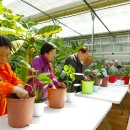 인제군치매안심센터 이미지