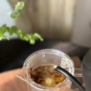 다기세트 필요없는 다도 입문템 맥파이앤타이거 티머그 호박차