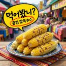 제30회 가야금경연대회 | 맛과 흥이 넘치는 홍천 옥수수축제 2026 찰옥수수 시세 주차 가수