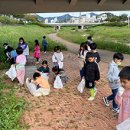 학하초교 이미지