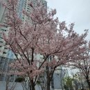 금수한의원 이미지