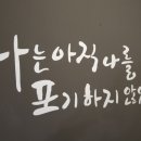 엠스타 복싱 클럽 이미지