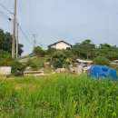 우리부동산공인중개사 이미지