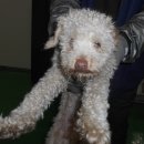 침산남로 이미지