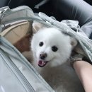 부채길펜션 이미지