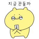 코코정