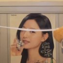 서핑하닭 네이버블로그