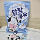 [호치민 육아] 베트남 호치민 아기 100일 셀프 촬영 후기, 한국 소품 대여 업체 추천 'yaya bebe(야야...