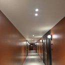 브라운도트 진하해수욕장점 이미지