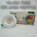나노리프 에센셜 매터 스마트 다운라이트 매립등 살펴보기
