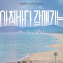 아침바다 이미지