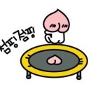 하하점핑다이어트
