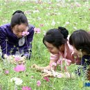 코스모스메디칼 이미지