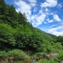 포레스트밸리 | 강원도 양구 주말여행에서 반려견과 자연 속 힐링 제대로 누린 포레스트밸리 펜션 후기